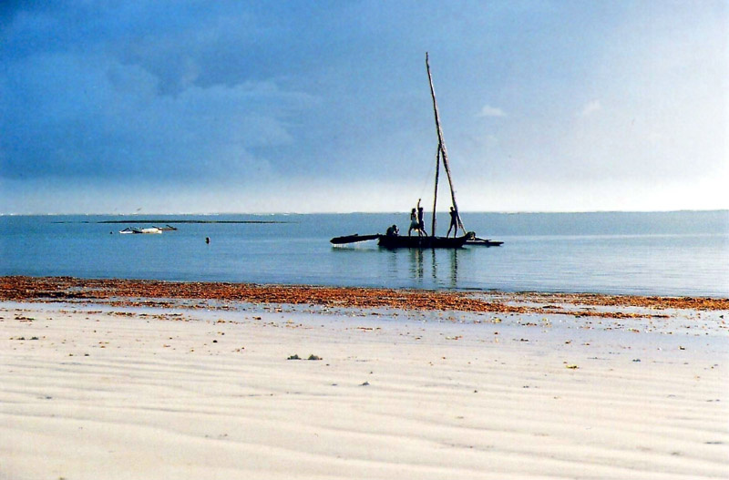 Low Tide 1 