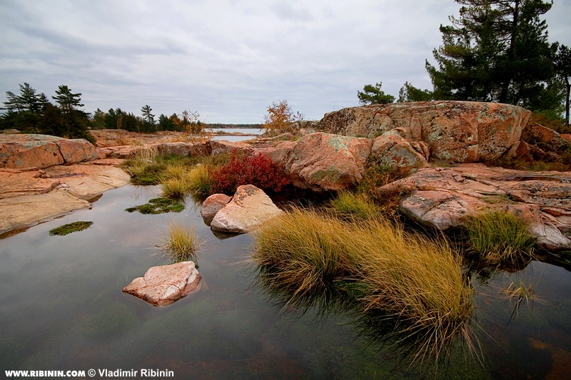 Комары сдохли остров Deseronto