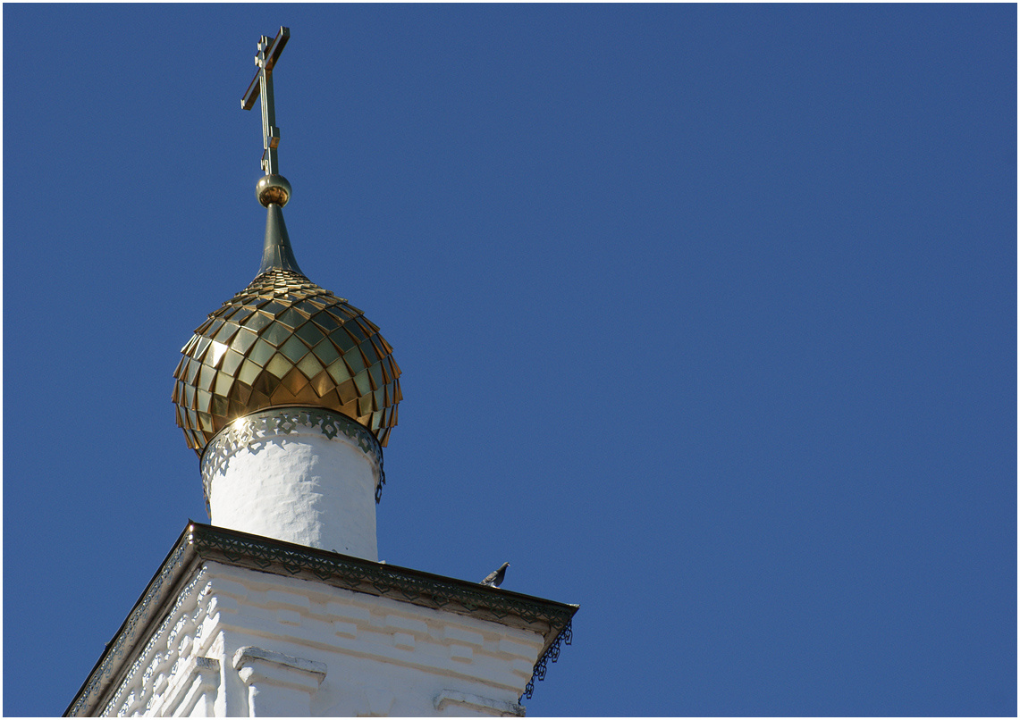 Предвестник Главка голубь Николо-Сольбинский монастырь