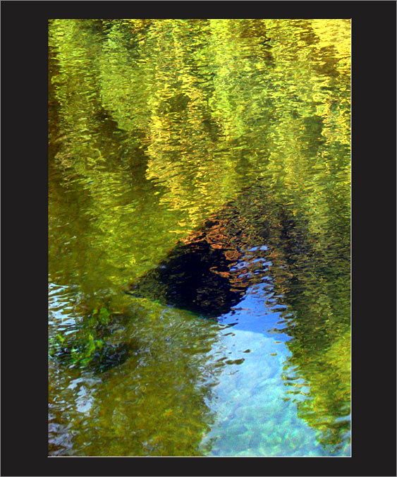 Осень, 2004 abstract