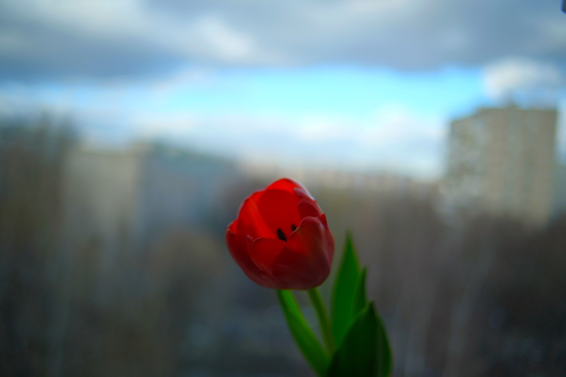 8 марта 