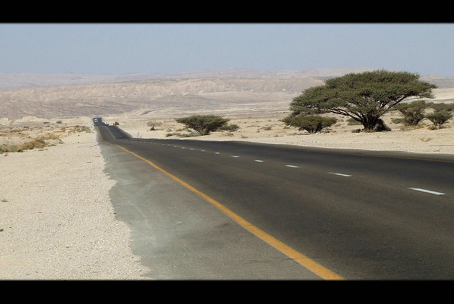 Desert road Израиль, ветка