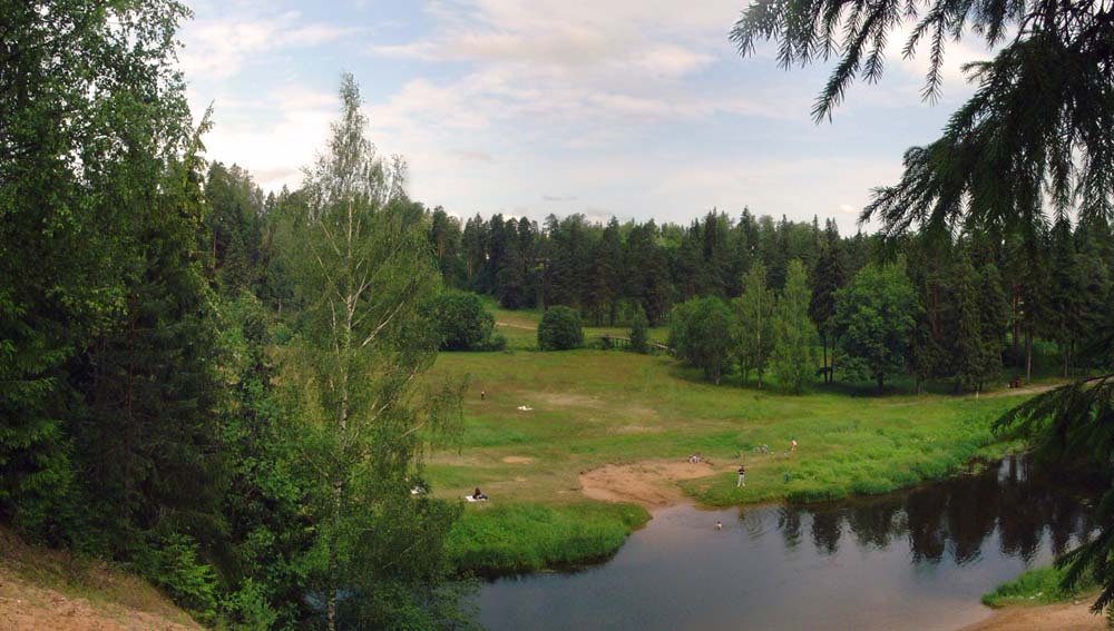 Летняя панорама Сиверская, природа, речка, зелень, лето