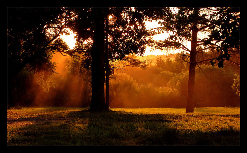 золотой вечер 