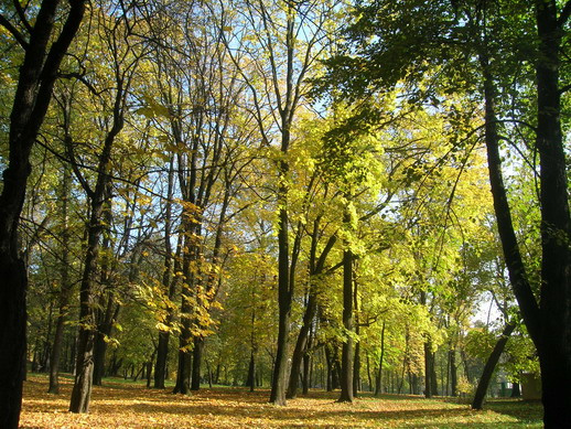 Осень в Центральном детском парке 