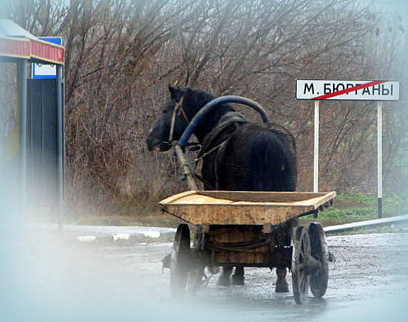 "Маршрутка" в М.Бюрганах ***