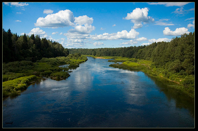 Луга 