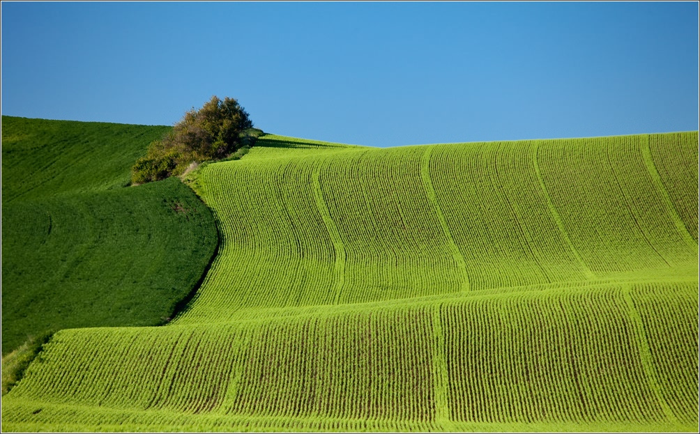 Уроки геометрии. Неевклидова. Palouse