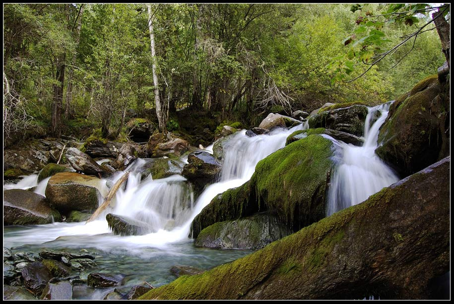 *** Алтай, р.Текелюшка, природа.