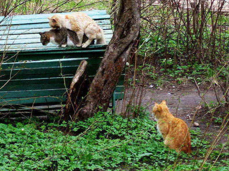 ;) 