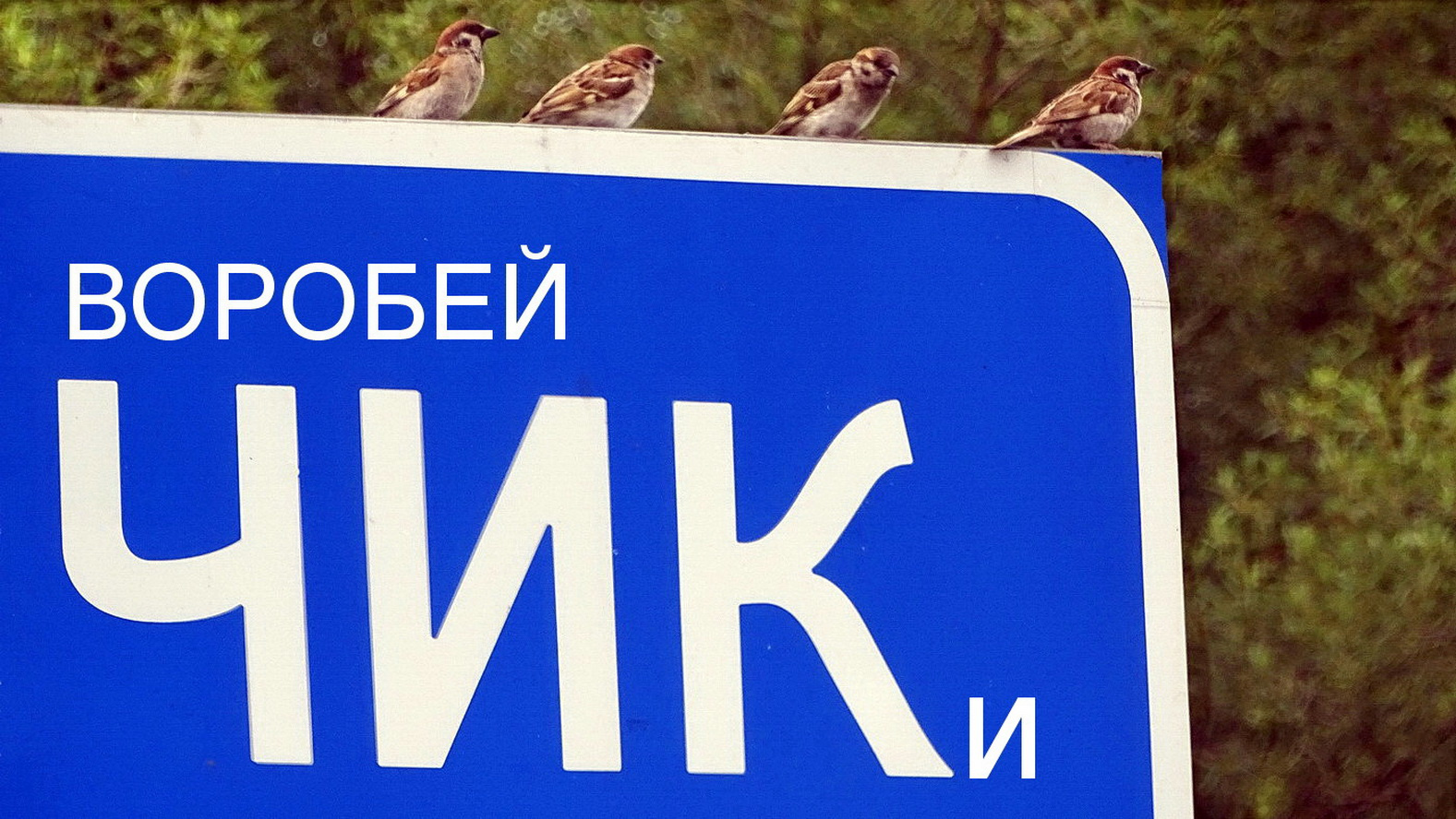 У села ......... 