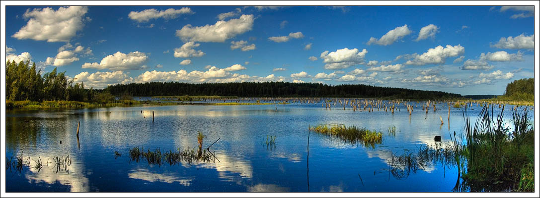 Водно-воздушное васкелово река