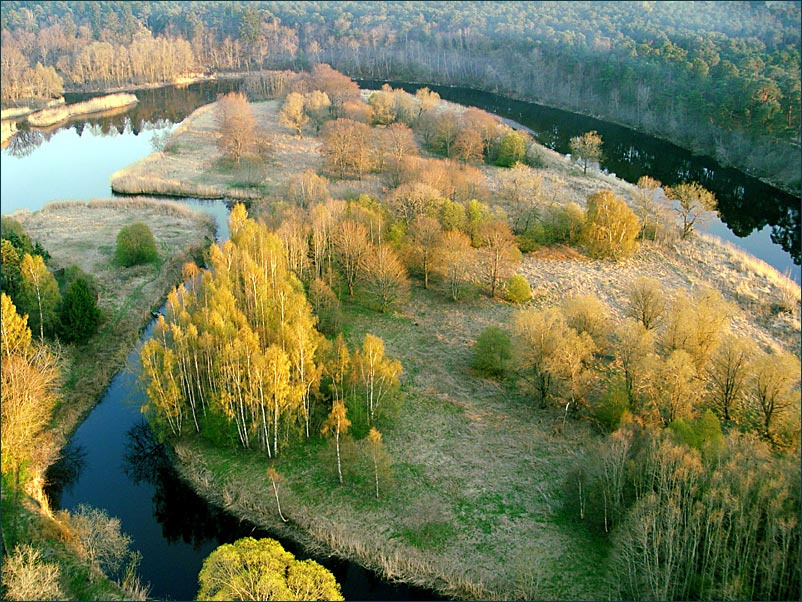Излучина с верхней точки река лес