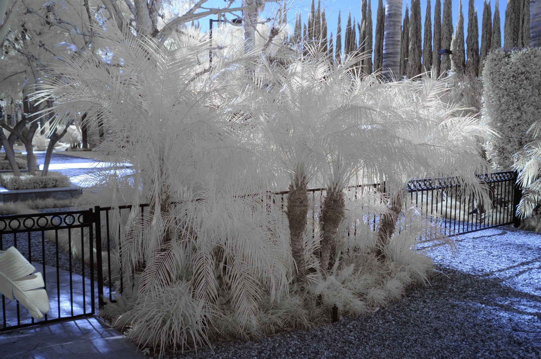 Sunland California Инфракрасная фотография/Infrared Pictures