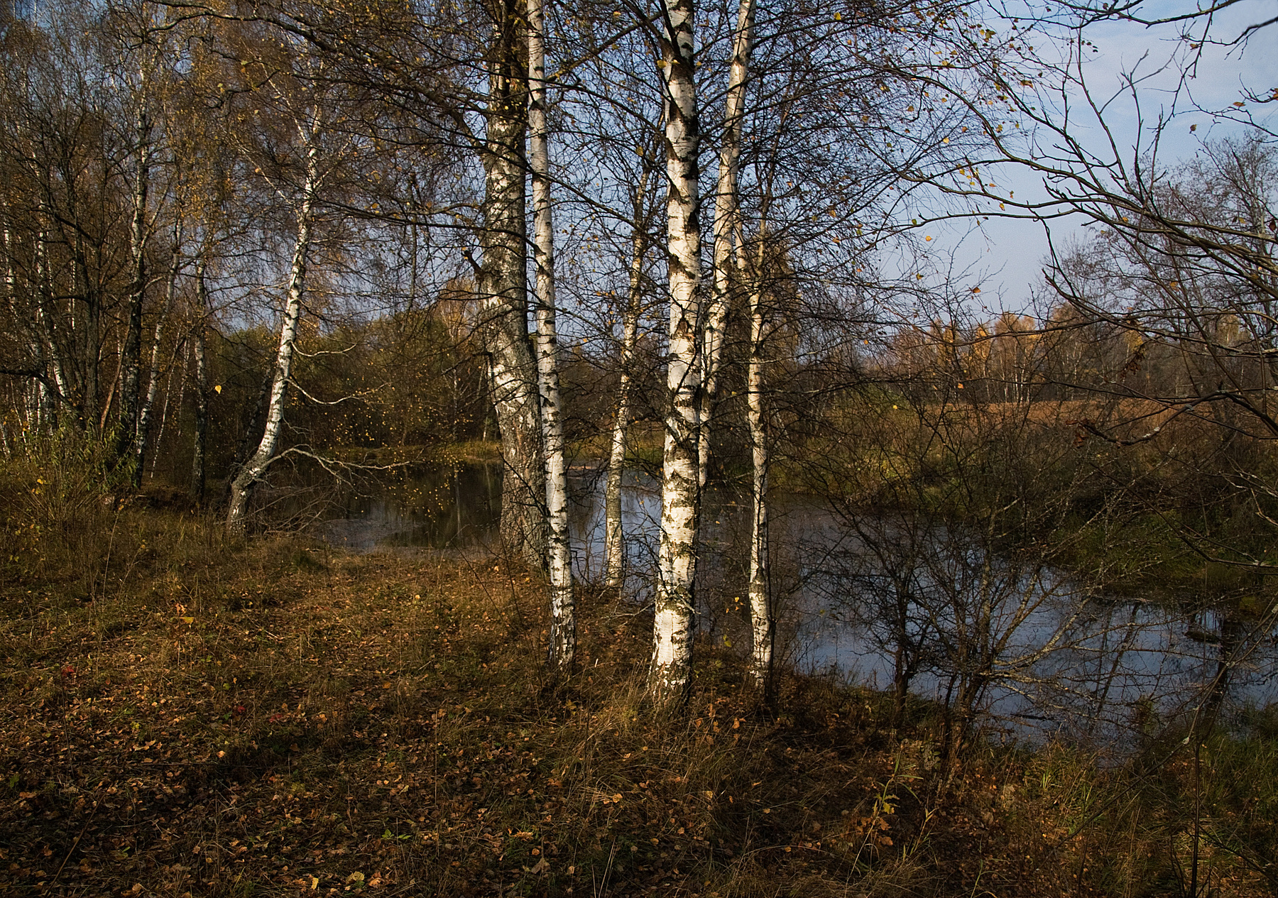 Тихая осень Пруд, осень, листья, небо