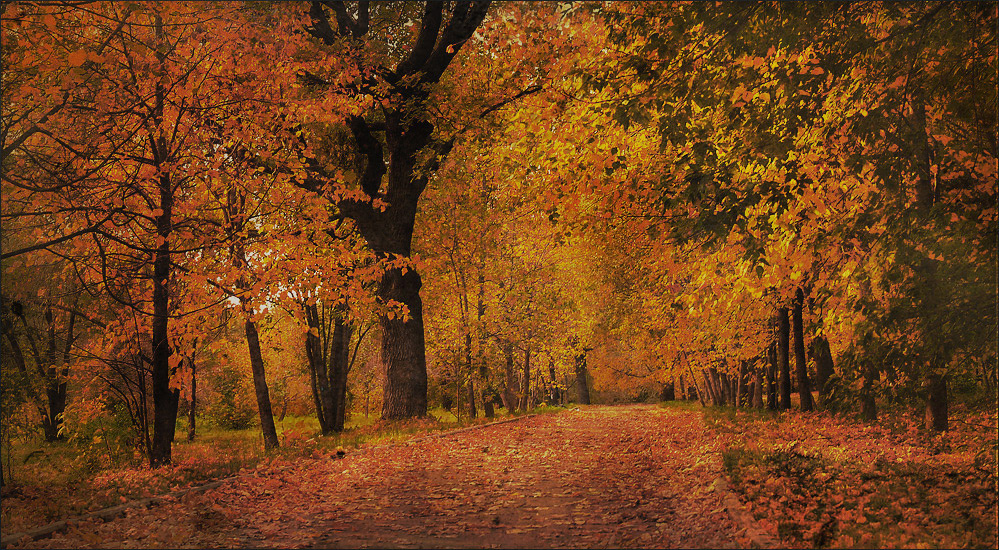 Рисует художник Осень (4) 