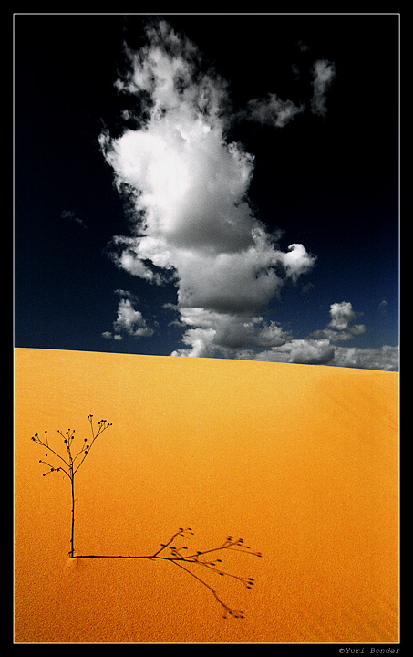 DUNE 3.00 pm 