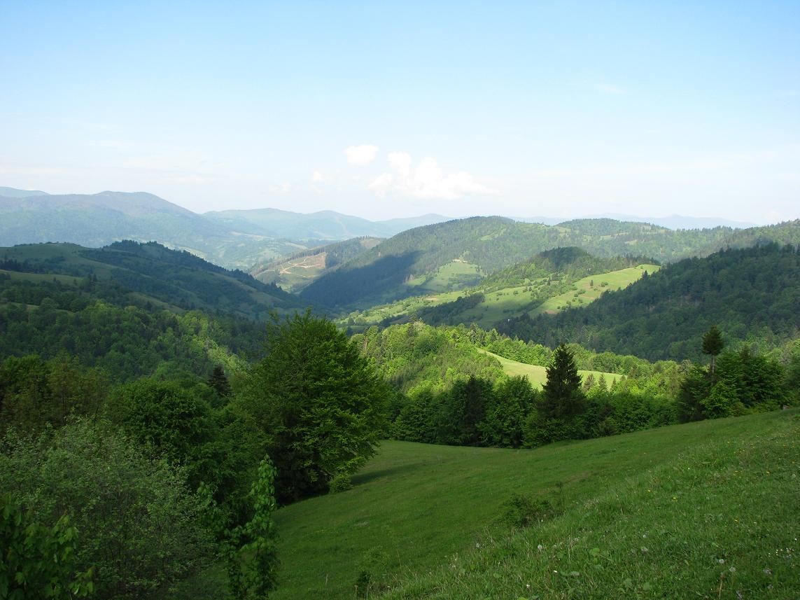Карпатский пейзаж Карпаты