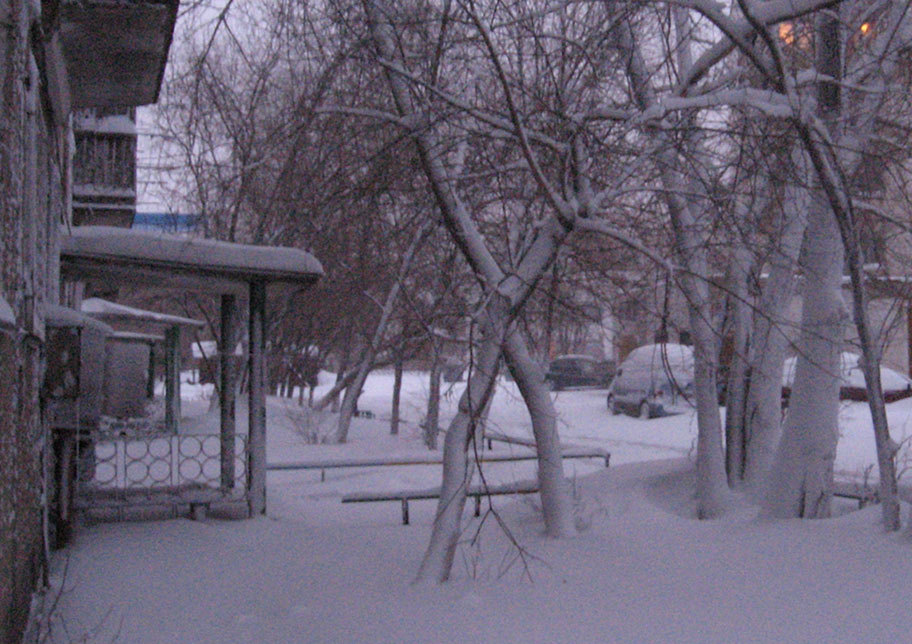 Утром после метели снег деревья