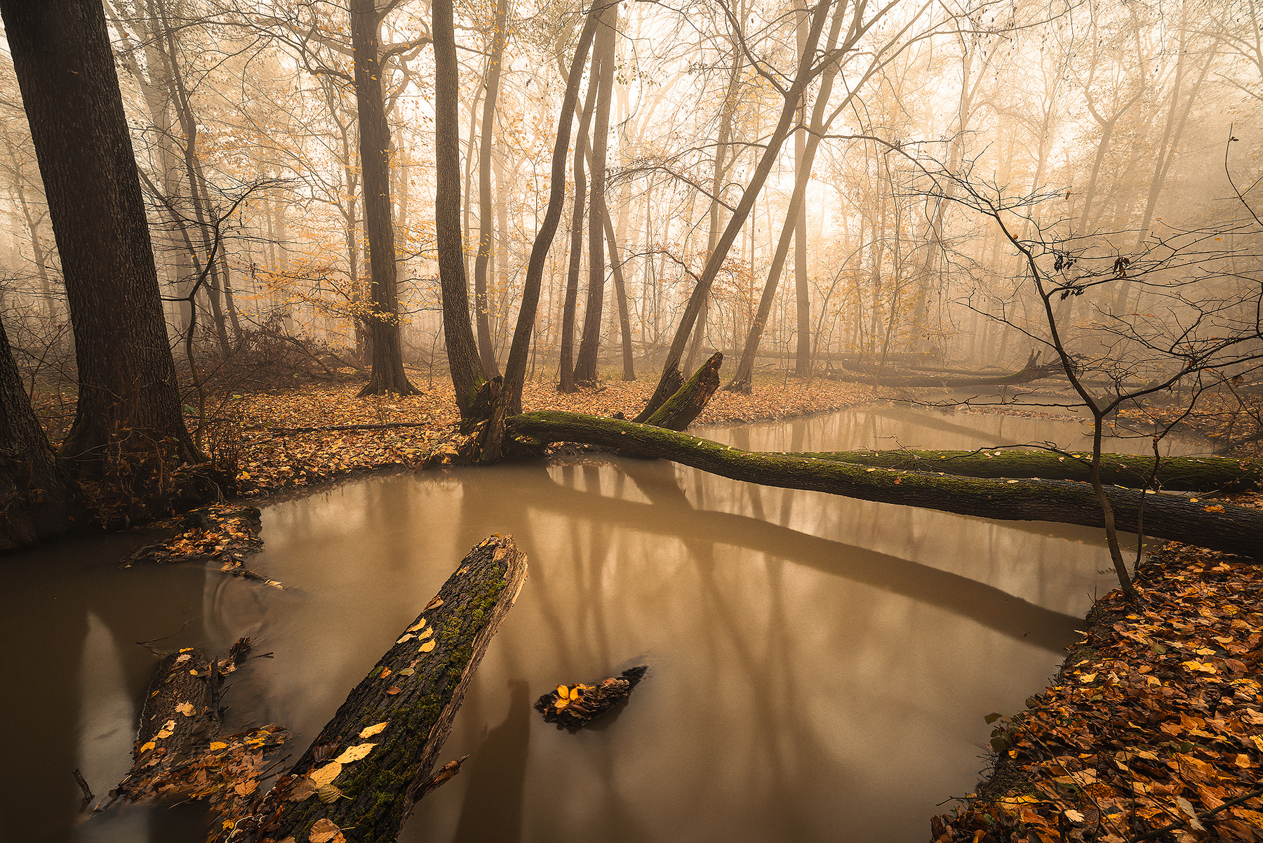 Autumn 