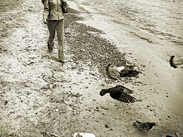 Голуби у моря голуби девушка море