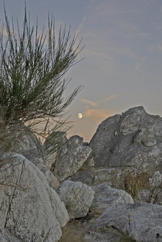 Moon rising луна камни