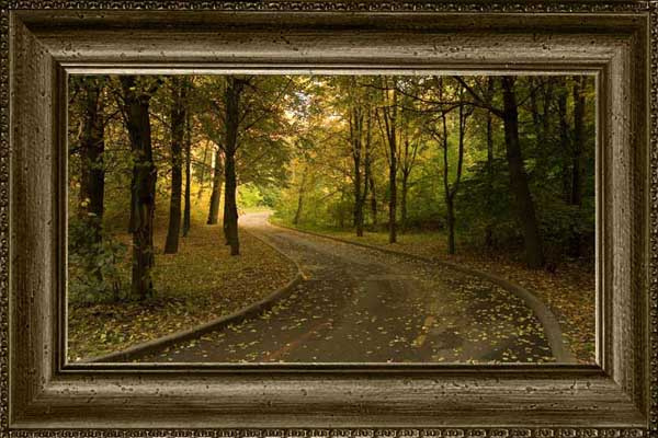 Осенний парк осень парк деревья дорога