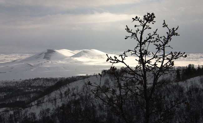 Light, mountains and tree. Light, mountains and tree.