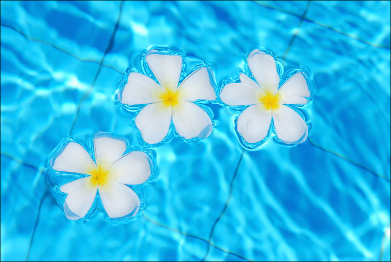 Summer 
