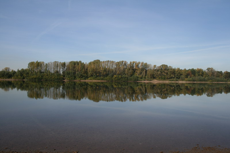 берег р. Белая 