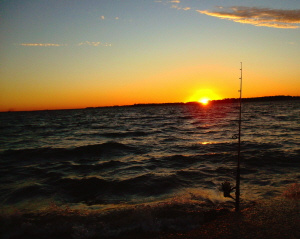 fishing 