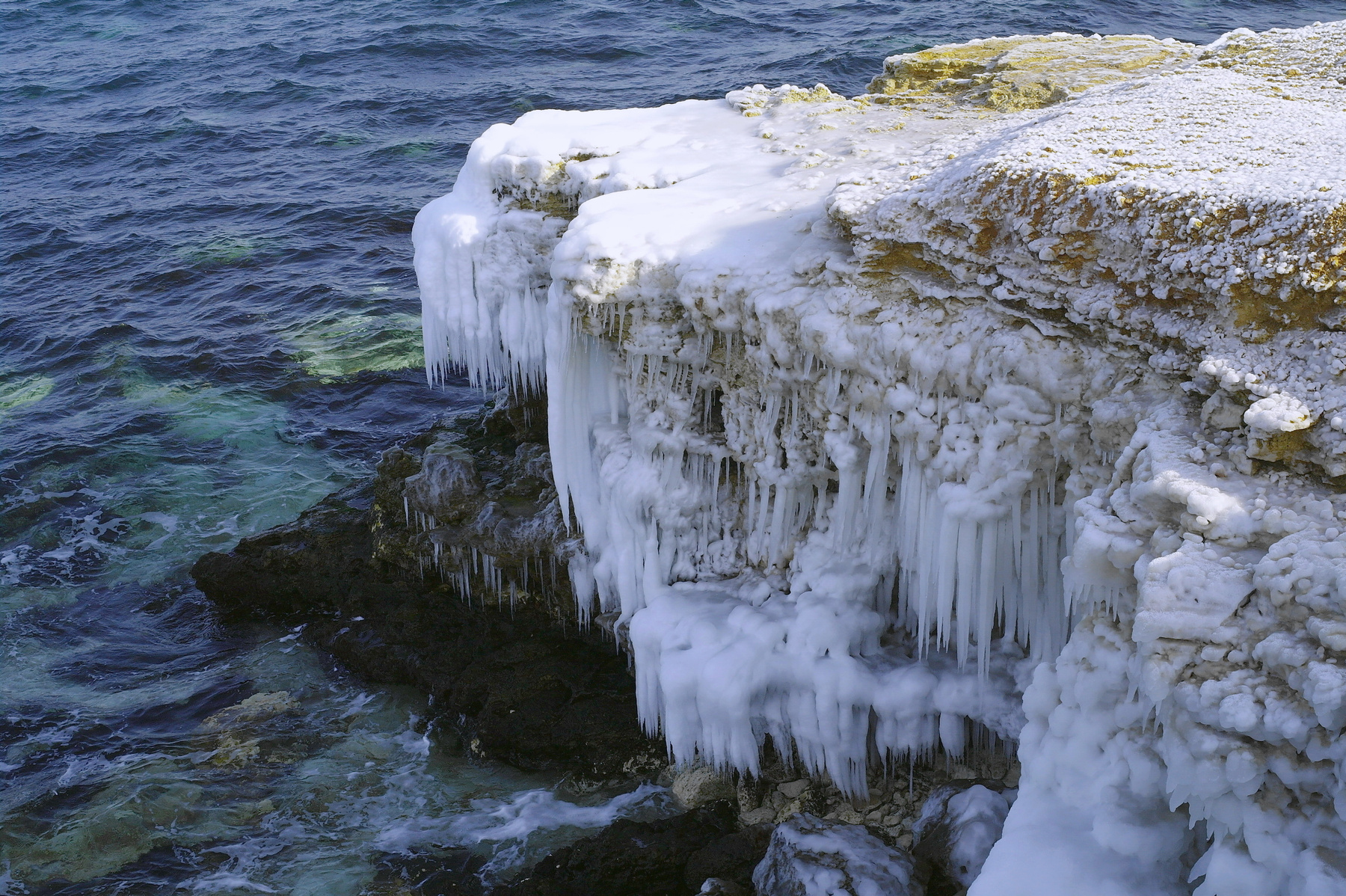 Северные гости. Февраль,Чёрное море,Крым
