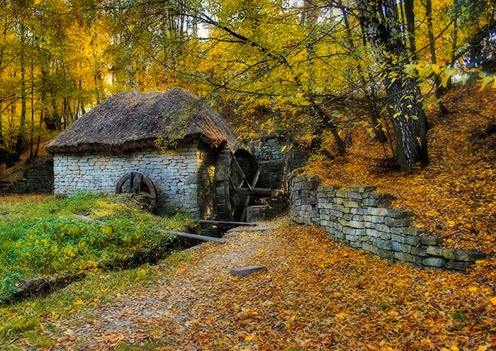 осень на старой мельнице... мельница пейзаж пирогово осень