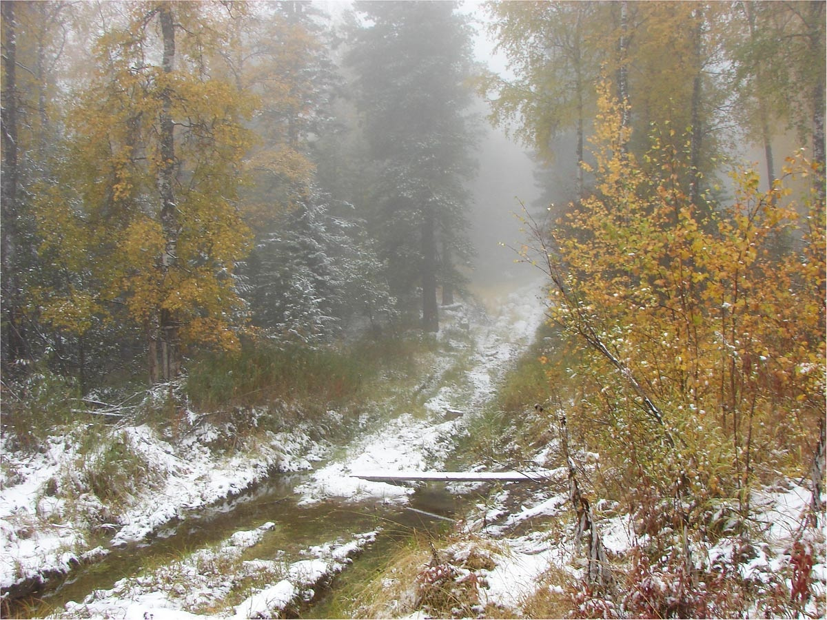 Утро осени 