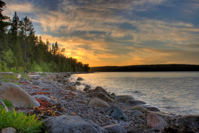 Берег Белое море