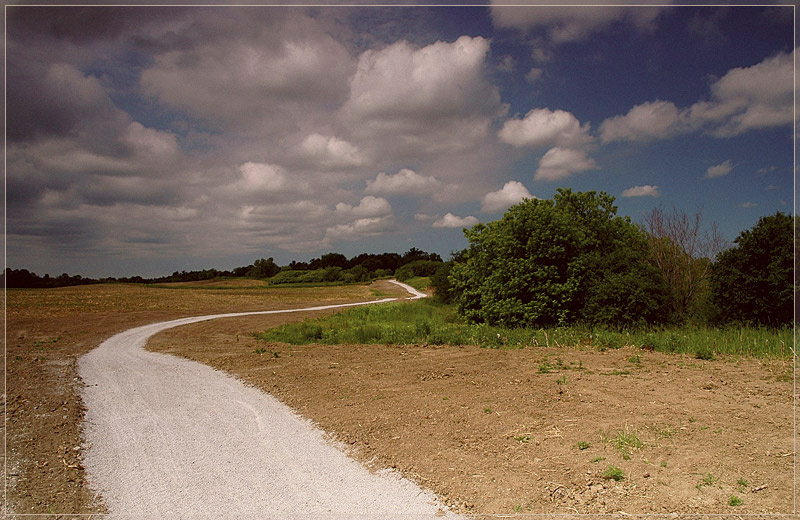 Oak Ridges 