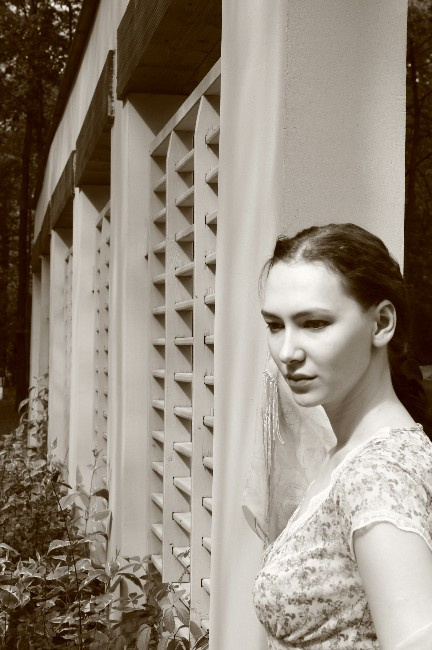 Дневник его жены 