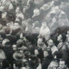 vidagarfio