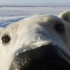 Евгений Притуляк 