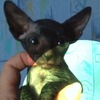 fanat-foto