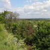 Виктор К.1