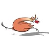 stupid-chicken