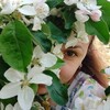 Mykaro
