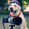 Шакилов Нил
