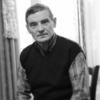 Vladimir Druzhin