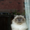 neighbourhoodwatch