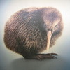 ptisa_kiwi