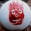 WilsonDK