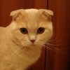Natali021249