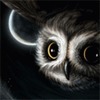 ZeitgeistOWL